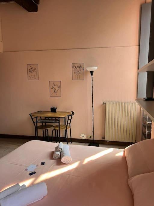 Minimal Studio Con Travi A Vista Piacenza Kültér fotó