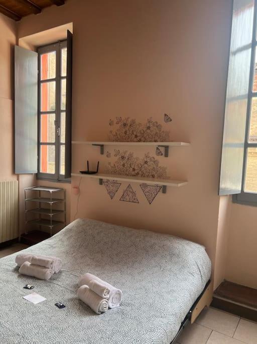 Minimal Studio Con Travi A Vista Piacenza Kültér fotó